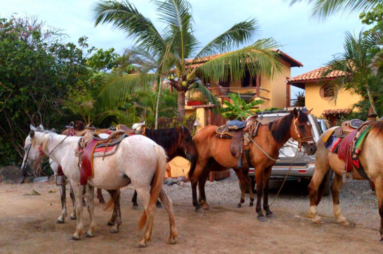 Troncones Point Hostel Exterior photo