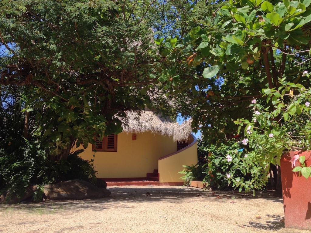Troncones Point Hostel Exterior photo